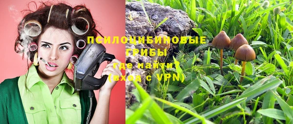 молекула духа Алексин