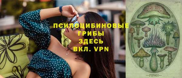 молекула духа Алексин